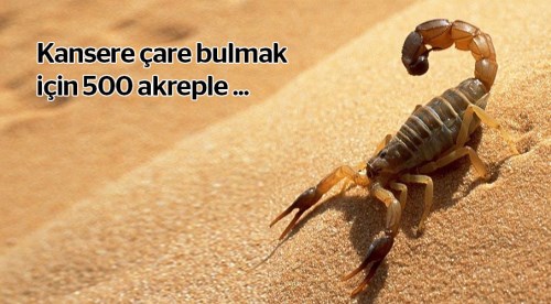Eskişehir'de dikkat çeken bilimsel araştırma