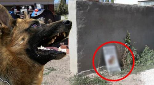 Eskişehir'de dikkat çekti: Çocukları korkutabilir!