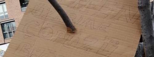 Eskişehir'de dilek ağacı temizlendi: Daha fazla yazmayın!