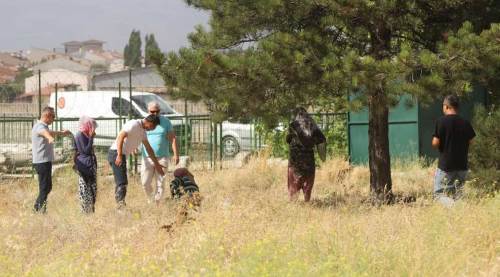 Eskişehir'de dilenciler tarlada böyle yakalandı!