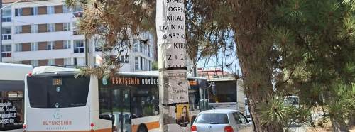 Eskişehir'de direkler ilan panosuna döndü