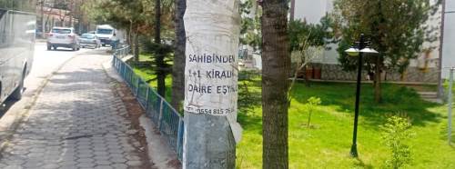 Eskişehir’de direkler ilan panosuna döndü