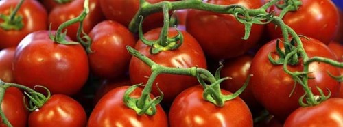 Eskişehir'de domatesin fiyatı...