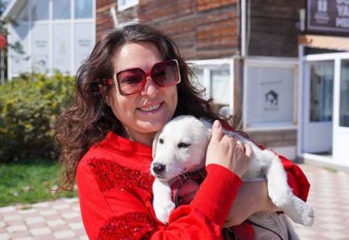 Eskişehir'de dört can daha sıcak yuvasına kavuştu