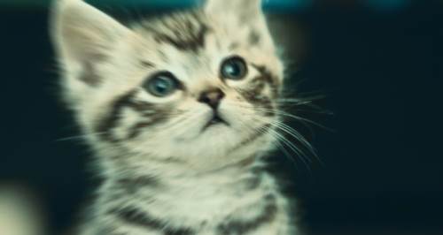 Eskişehir'de döverek öldürmüştü: Cezası verildi