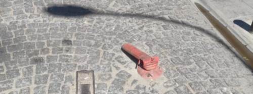 Eskişehir'de dubalara eziyet sürüyor