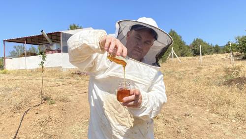 Eskişehir'de dünyanın en yüksek prolinli balı üretiliyor!