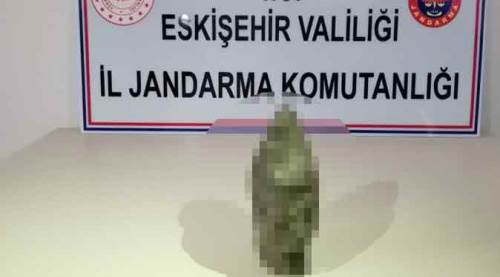 Eskişehir'de durdurulan araçtan çıkan şok etti