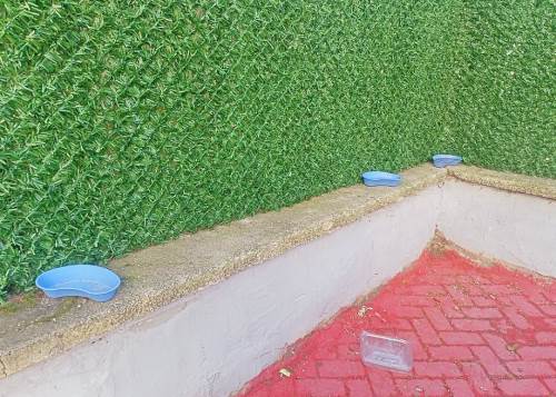 Eskişehir'de duyarlı davranışıyla örnek oldular!