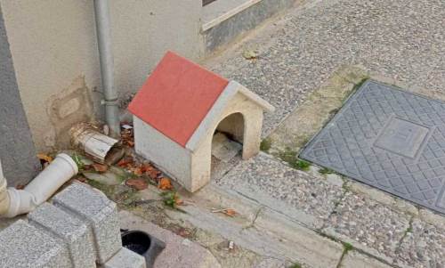 Eskişehir'de duyarlı vatandaşlardan kedi evi desteği