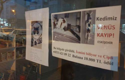 Eskişehir'de duyarlı veterinerden her gün bir bilgi