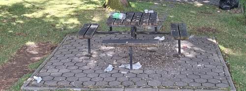 Eskişehir'de duyarsızlık pes dedirtti: Park çöplüğe döndü