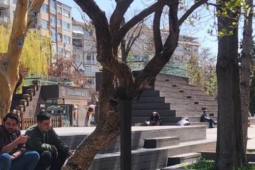 Eskişehir'de eğilen ağaç demir destekle kurtarıldı