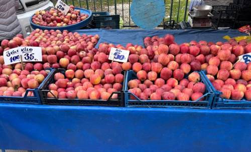 Eskişehir’de elma bile cep yaktı: Kilogramı 50 TL!