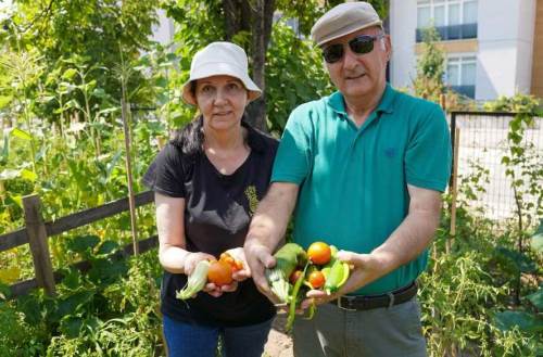 Eskişehir'de emekli çift o bahçede 26 çeşit ürün yetiştirdi!