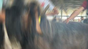 Eskişehir'de en büyüğü oydu: Yurt dışına satıldı!