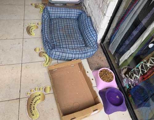 Eskişehir’de esnaftan sokak hayvanlarına duyarlı dokunuş