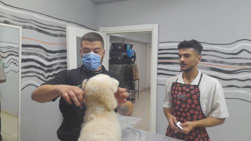 Eskişehir'de evcil dostlarımızın güzellik sırları ortaya çıktı