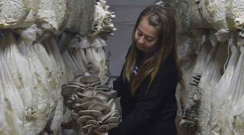 Eskişehir'de evde oturmak yerine bunu yaptı, şimdi yok satıyor!