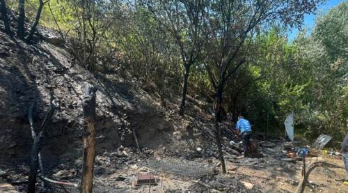 Eskişehir'de evdeki yangın ormana sıçradı!