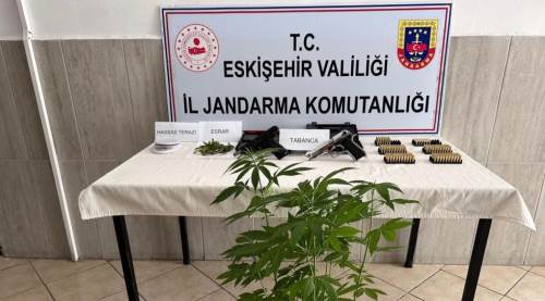 Eskişehir'de evinde kenevir yetiştiren şahsa jandarma operasyonu