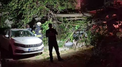 Eskişehir'de faciadan kıl payı dönüldü: Sesi duyan mahalleli korktu!