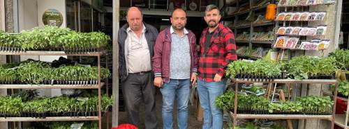 Eskişehir'de fide dikim zamanı