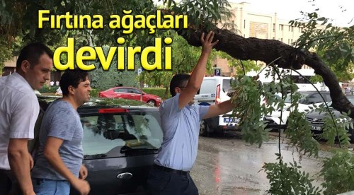 Eskişehir'de fırtına ağaçları devirdi