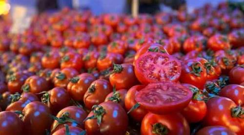 Eskişehir'de fiyatı tam yarı yarıya düştü!