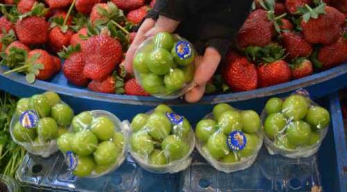Eskişehir'de fiyatı yarı yarıya düştü: 400 lira...