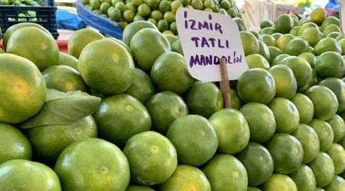 Eskişehir'de fiyatı yüz güldürdü