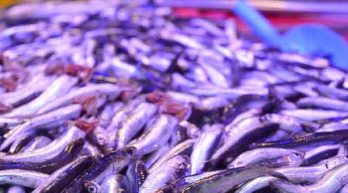 Eskişehir'de fiyatlar uçtu!