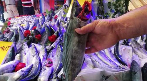 Eskişehir'de fiyatlar vatandaşın yüzünü güldürüyor!