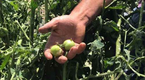 Eskişehir'de fiyatlar yüzde 100 artırıldı!