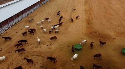 Eskişehir'de fiyatları milyonu aşıyor