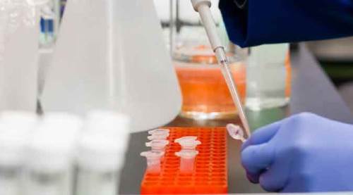 Eskişehir'de flaş "yerli aşı" açıklaması! Sonbahara kadar...