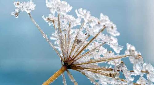 Eskişehir'de flaş uyarı: Yarından itibaren...
