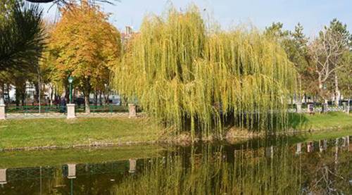 Eskişehir'de fotoğraf tutkunları için muhteşem rotalar!