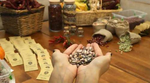  Eskişehir’de geçen sene kapışılmıştı, bu sene yeniden…