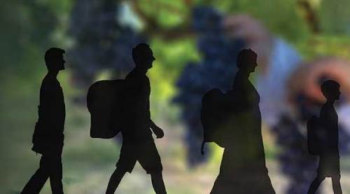 Eskişehir'de göç edenleri geri döndürecek proje!