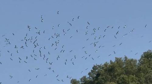 Eskişehir'de gökyüzüne bakanlar mest oldu