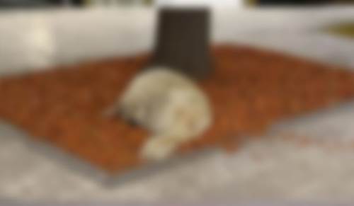 Eskişehir'de gölge kapmaca! Sıcak onları da vurdu...