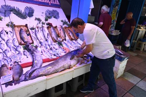 Eskişehir’de görenleri şaşırttı: Tam 40 kilo!