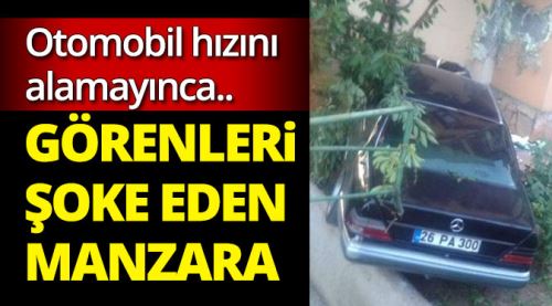 Eskişehir'de görenleri şoke eden manzara!