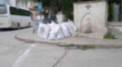 Eskişehir'de günlerdir bu hâlde bekliyor!