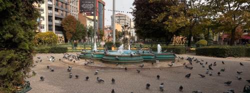 Eskişehir’de güvercin yoğunluğu! Reşadiye Camii yanında dikkat çeken manzara