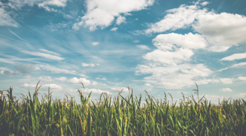 Eskişehir'de haftanın son günü bulutlu geçecek