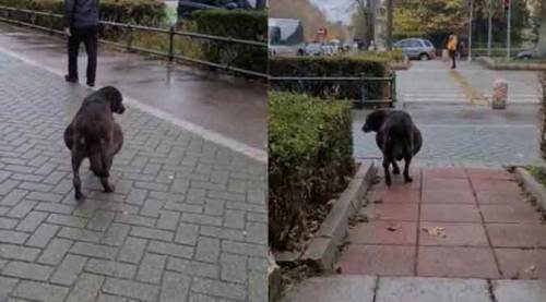 Eskişehir’de hamile sanıp yardım ettiler, bakın karnından ne çıktı!