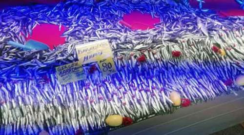 Eskişehir'de hamsi fiyatları cep yakıyor