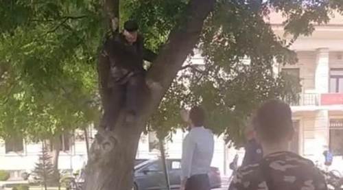 Eskişehir'de hareketli dakikalar: Yaşlı adam ağaca çıkıp...